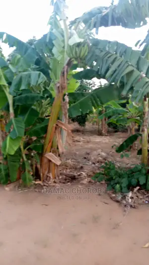 Shamba Bora Kwa Makazi