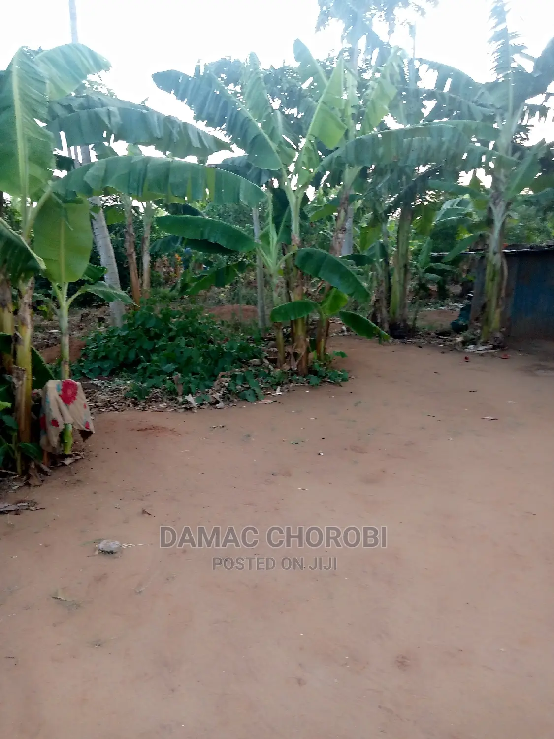 Shamba Bora Kwa Makazi