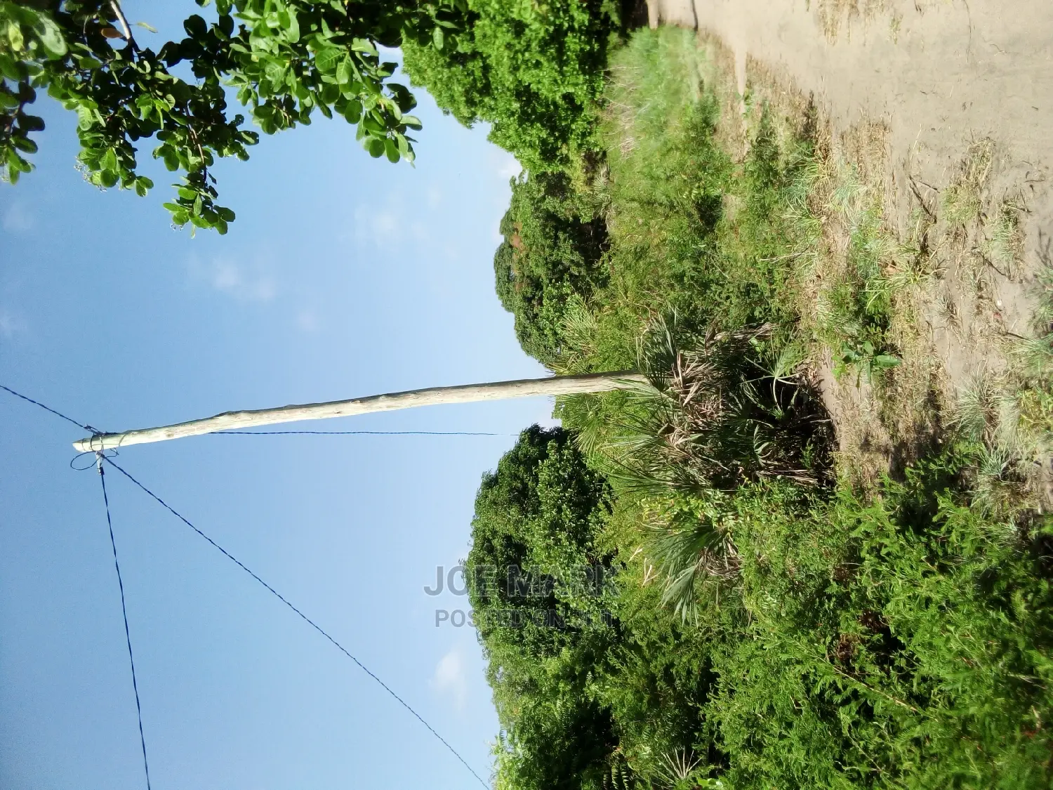Eneo Linauzwa Kigamboni