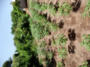 2 Acres for Sale at Kigamboni