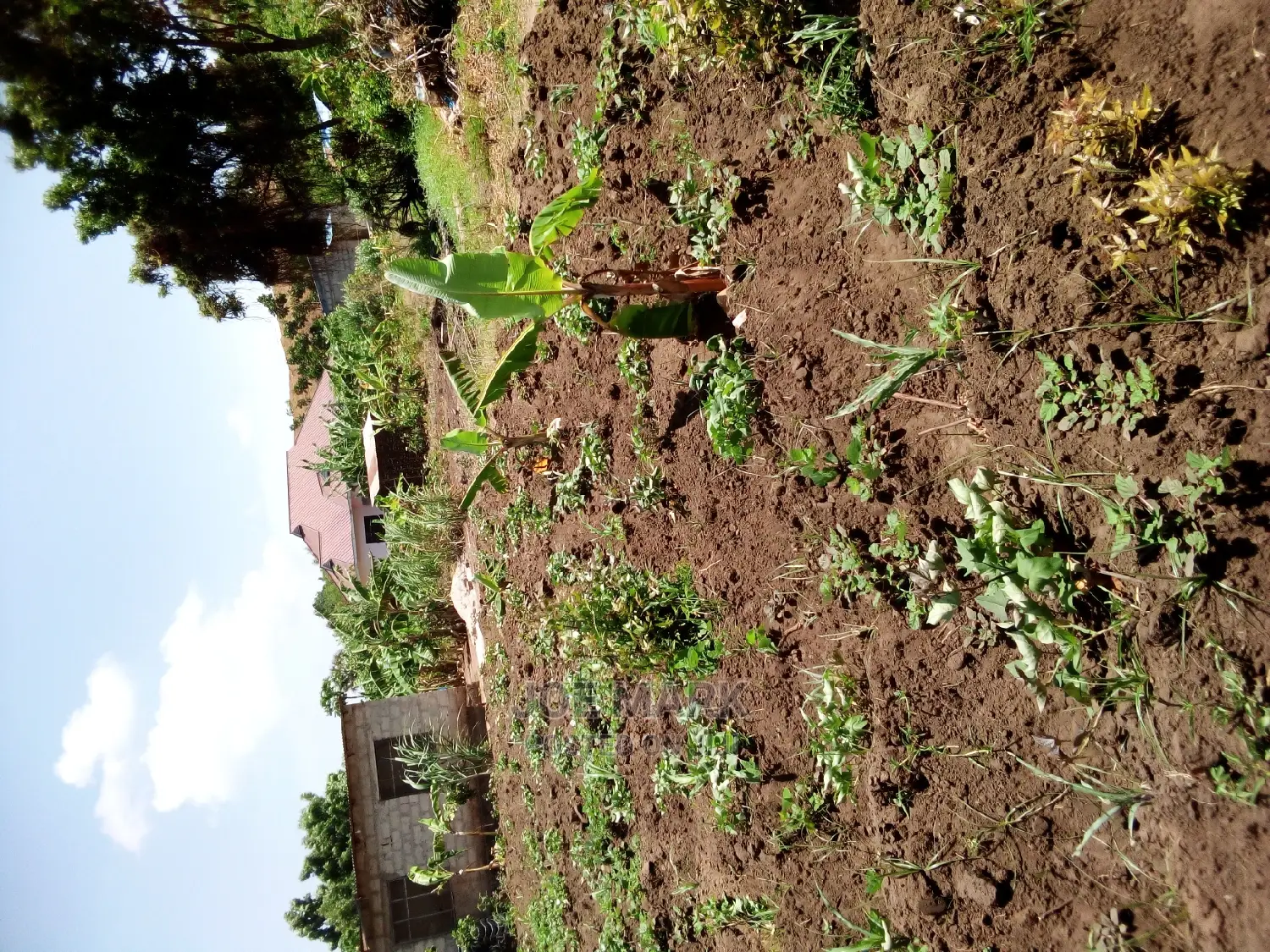 2 Acres for Sale at Kigamboni
