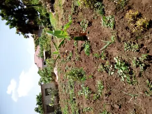 2 Acres for Sale at Kigamboni