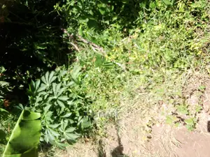 2 Acres for Sale at Kigamboni