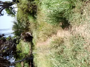 A Plot for Sale Kigamboni
