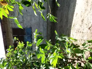 A Plot for Sale Kigamboni