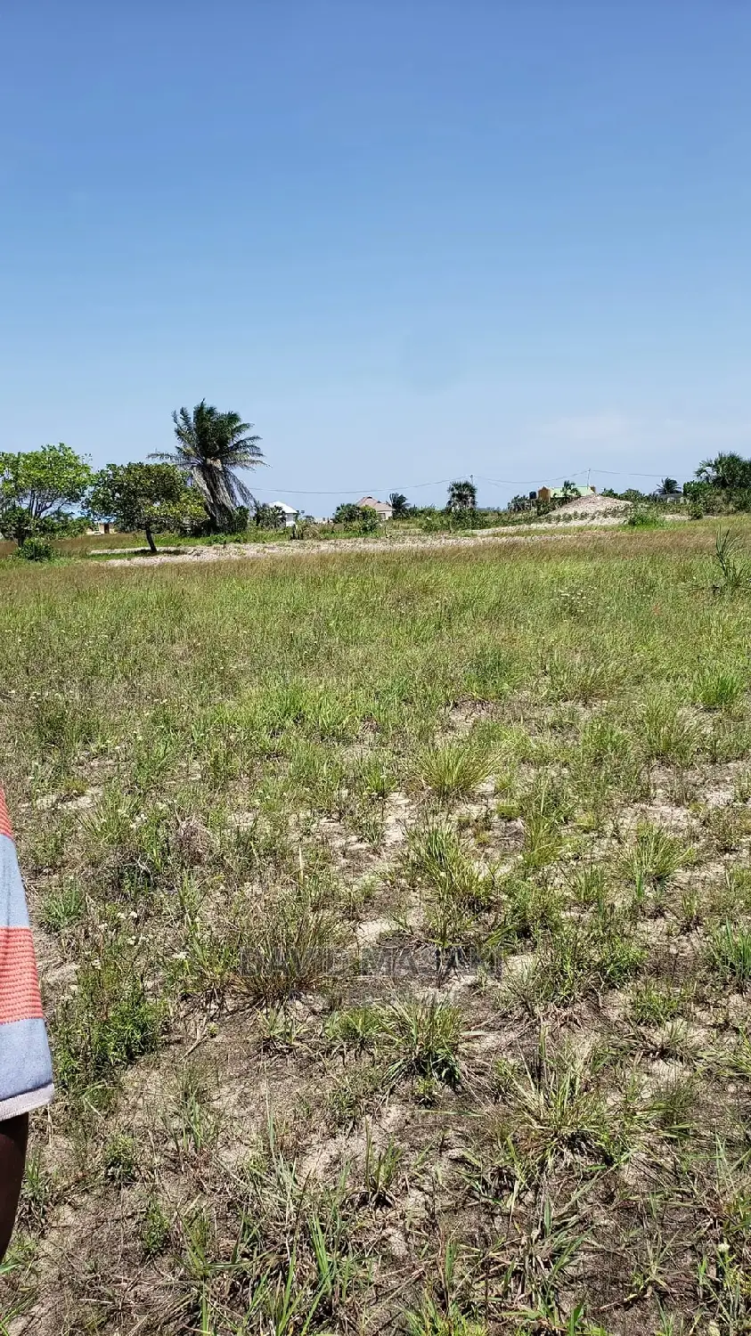 4400 Sq M Plot For Sale In Mitwero Lindi