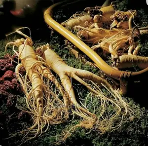 Ginseng With Ginseng Coffee