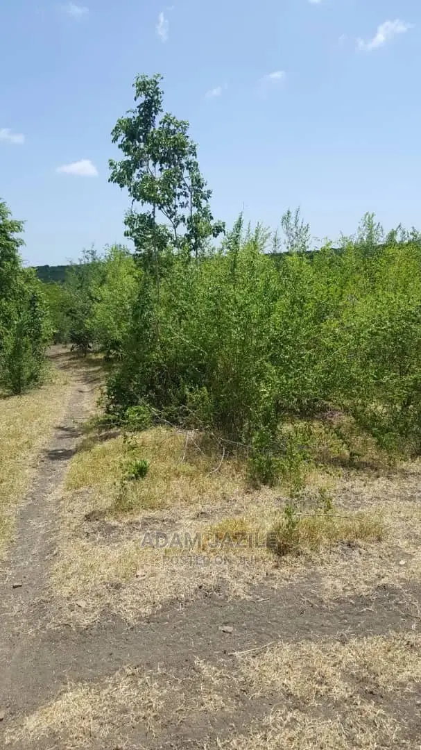 Shamba La Ekari 300 Linauzwa Kiwangwa Bagamoyo Pwani