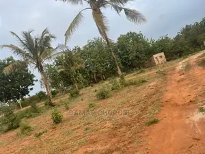 Viwanja Bora Kwa Makazi Viwanja Vimepimwa Loction Kigamboni
