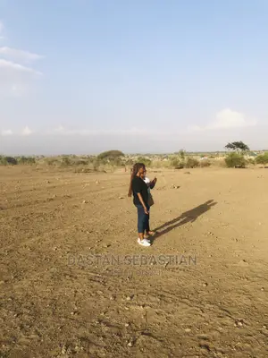 Miliki Ardhi
