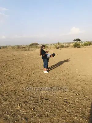 Miliki Ardhi