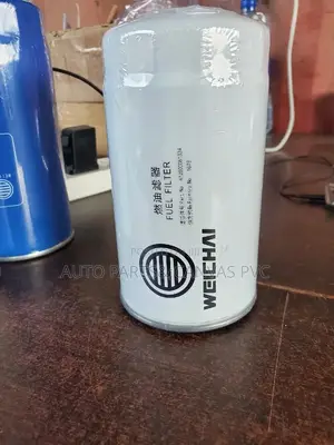 Shacman Filter Oil