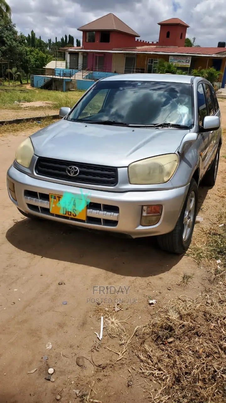 Toyota RAV4 2004 Silver