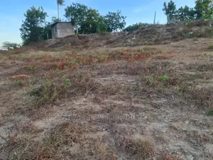 Plot Kubwa at Salasala Panafaa Kuwekeza Sana