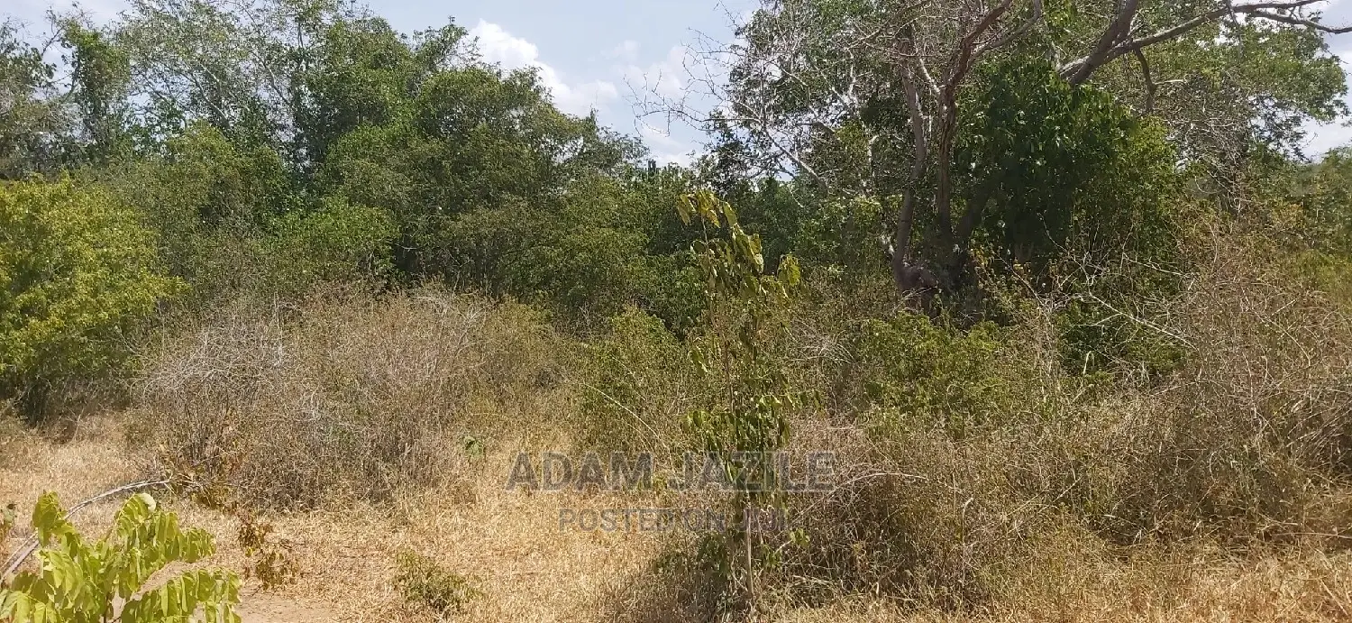 Shamba La Ekari 100 Linauzwa Kiwanga