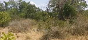 Shamba La Ekari 100 Linauzwa Kiwanga