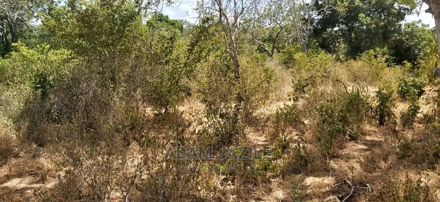 Shamba La Ekari 100 Linauzwa Kiwanga