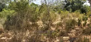 Shamba La Ekari 100 Linauzwa Kiwanga