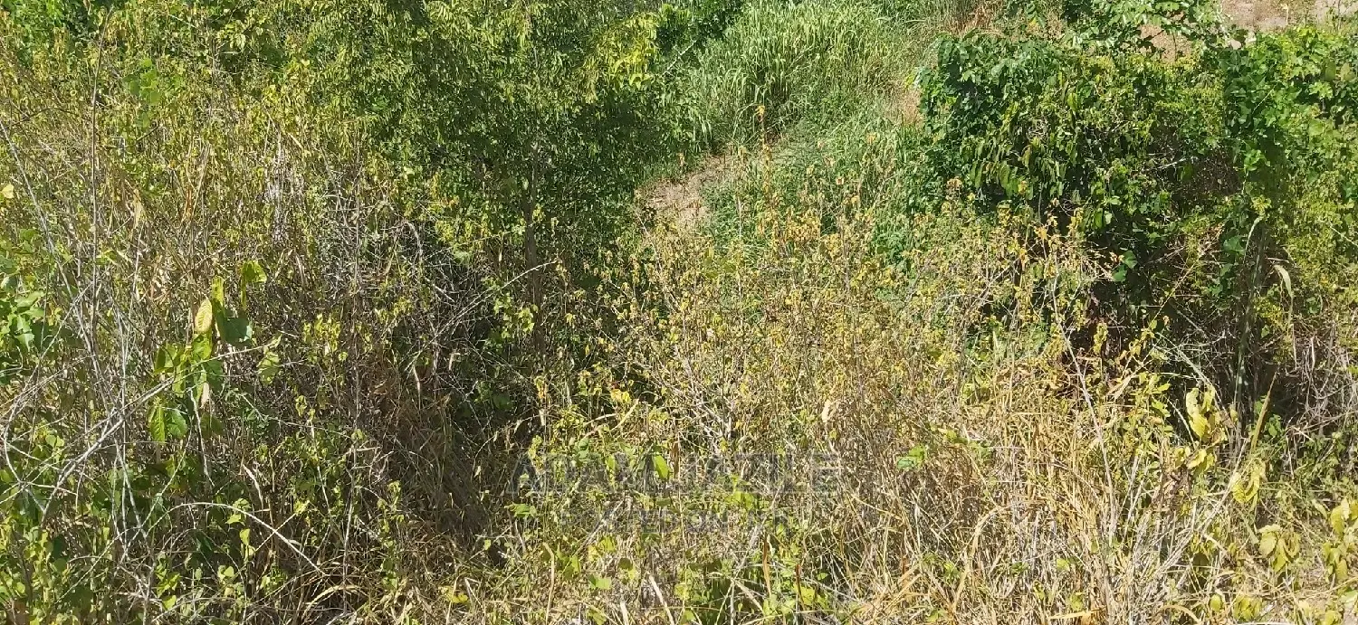 Shamba La Ekari 100 Linauzwa Kiwanga