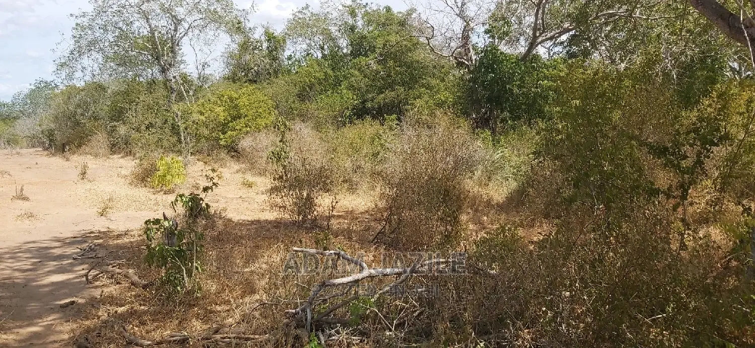 Shamba La Ekari 100 Linauzwa Kiwanga