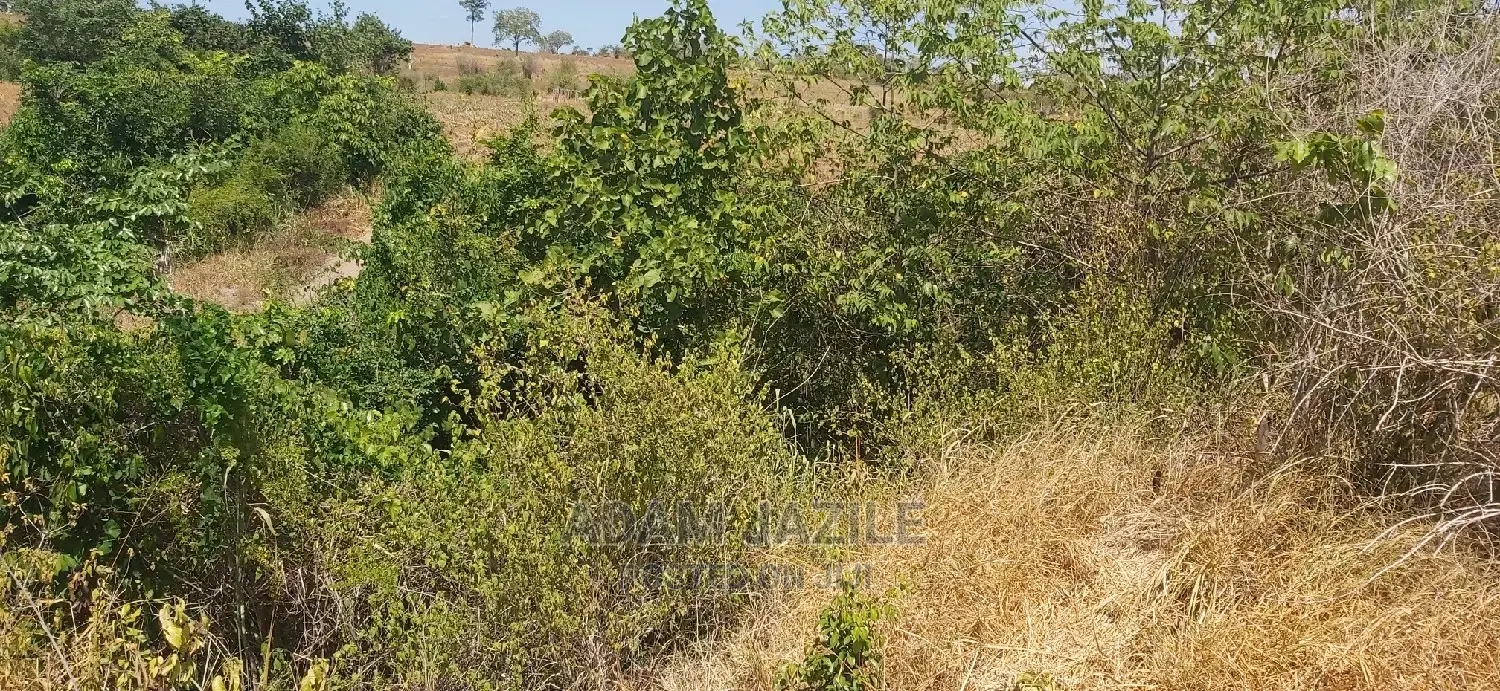 Shamba La Ekari 100 Linauzwa Kiwanga