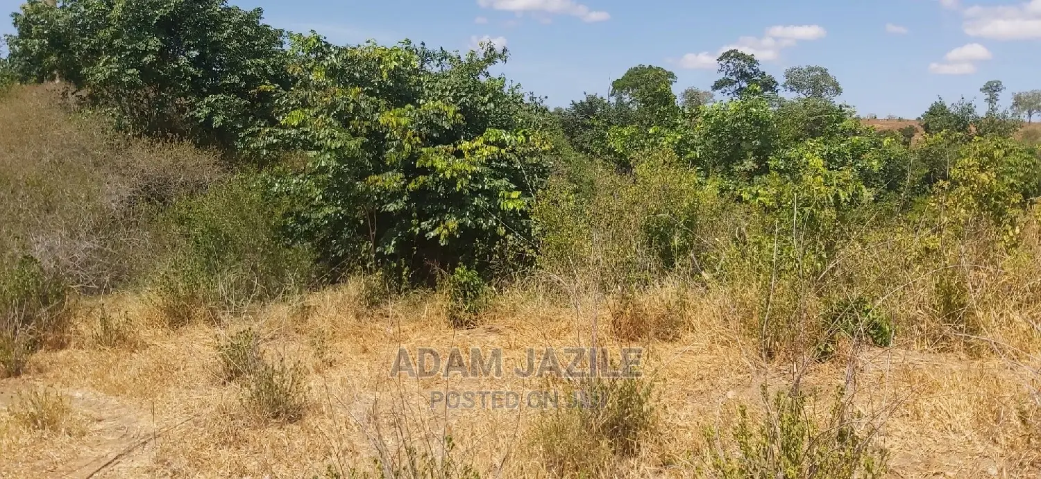 Shamba La Ekari 100 Linauzwa Kiwanga
