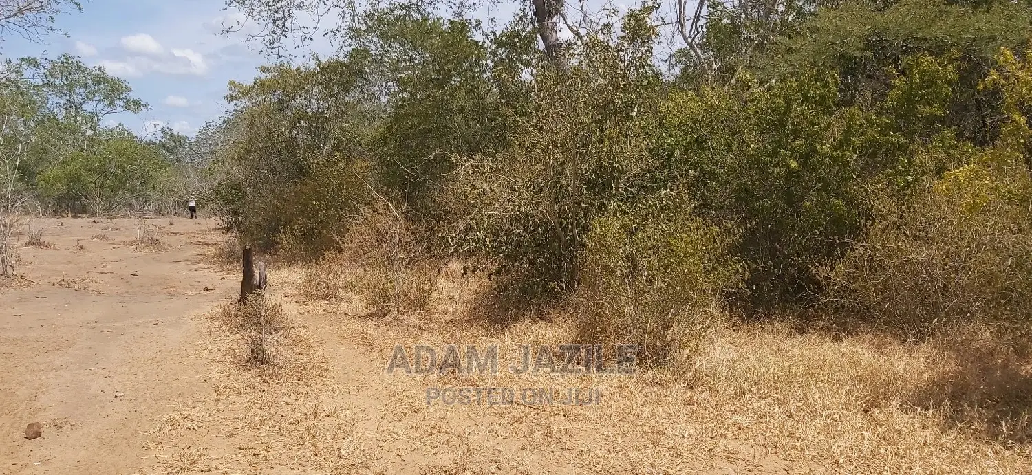 Shamba La Ekari 100 Linauzwa Kiwanga