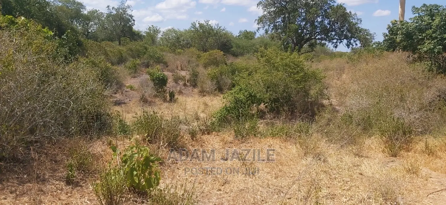 Shamba La Ekari 100 Linauzwa Kiwanga