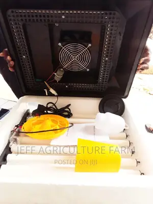 Incubator Ya Mayai 60