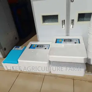 Incubator Ya Mayai 60