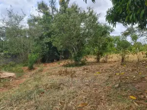 Plot Nusu Heka at Mbezi Mshikamano