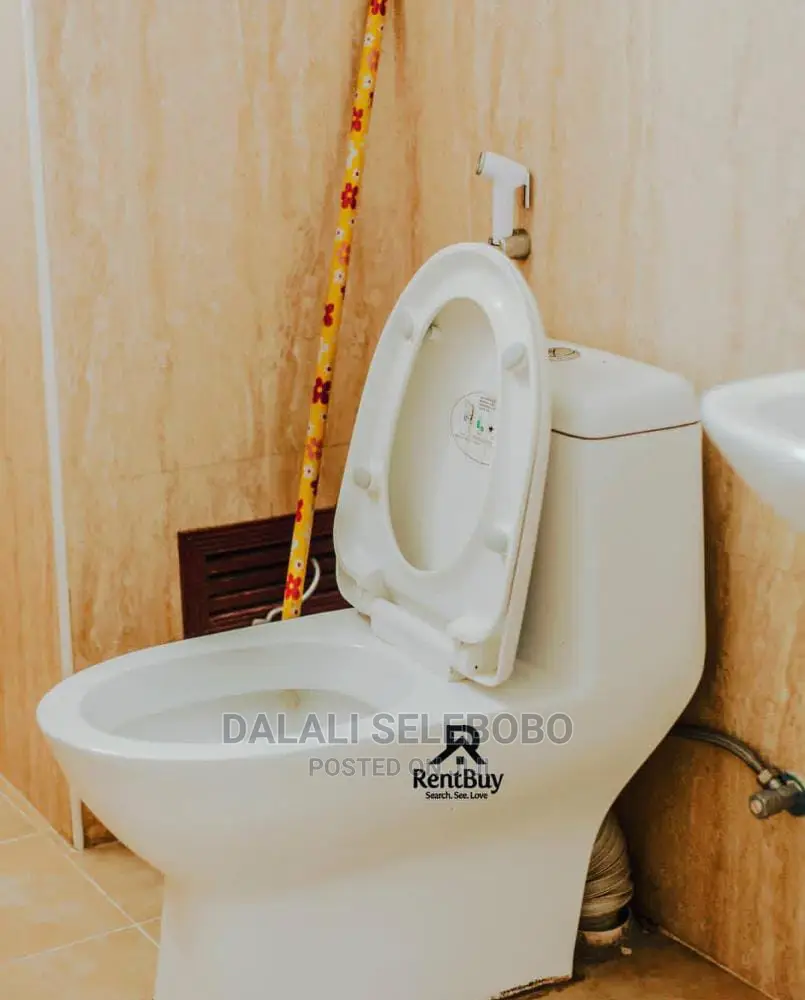 Mini Flat in Sinza Mori for rent