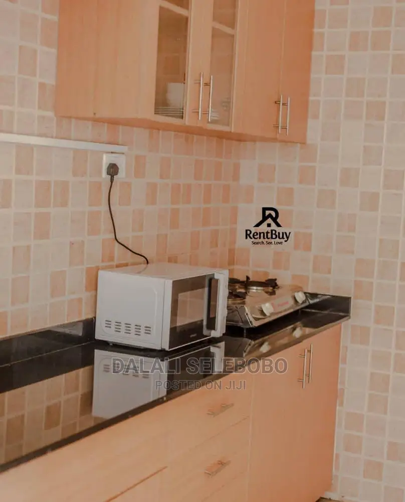 Mini Flat in Sinza Mori for rent