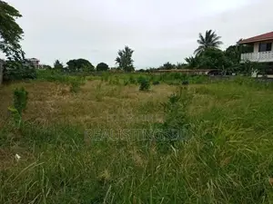 Beach Plot for Sale, Tanga Urban