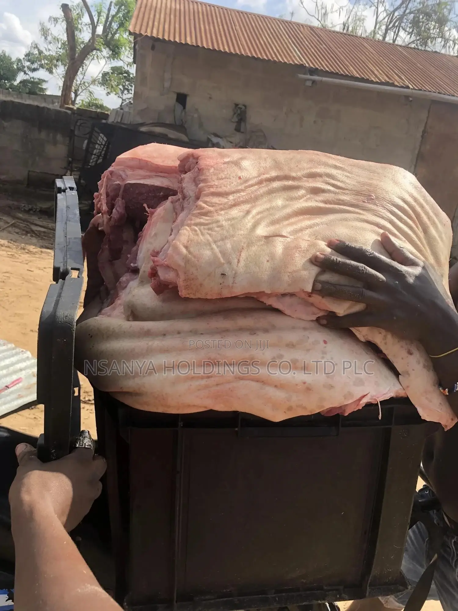 Tunauza Nyama Ya Nguruwe Ya Kawaida Kg 1 TSHS 15,000/=