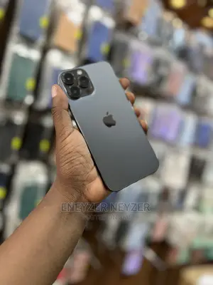Apple iPhone 13 Pro Max 128 GB Gray