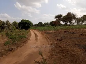 Kiwanja Kibaha Pangani