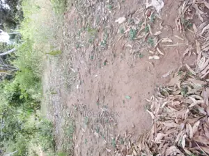Nusu Eka Inauzwa Kibaha