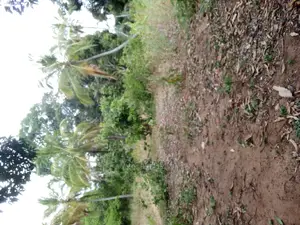 Nusu Eka Inauzwa Kibaha