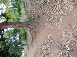 Nusu Eka Inauzwa Kibaha