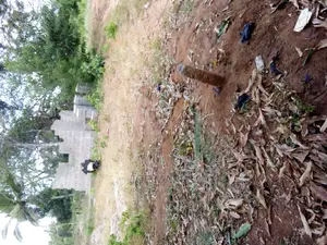 Nusu Eka Inauzwa Kibaha