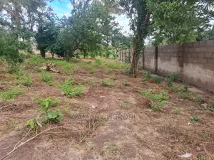 Viwanja Mashamba Bagamoyo Mjini