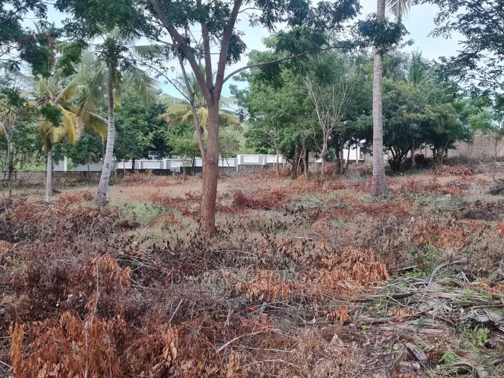Viwanja Mashamba Bagamoyo Mjini