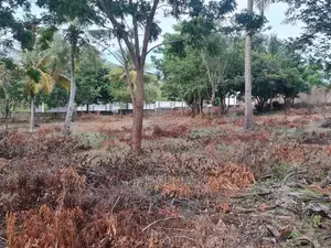 Viwanja Mashamba Bagamoyo Mjini