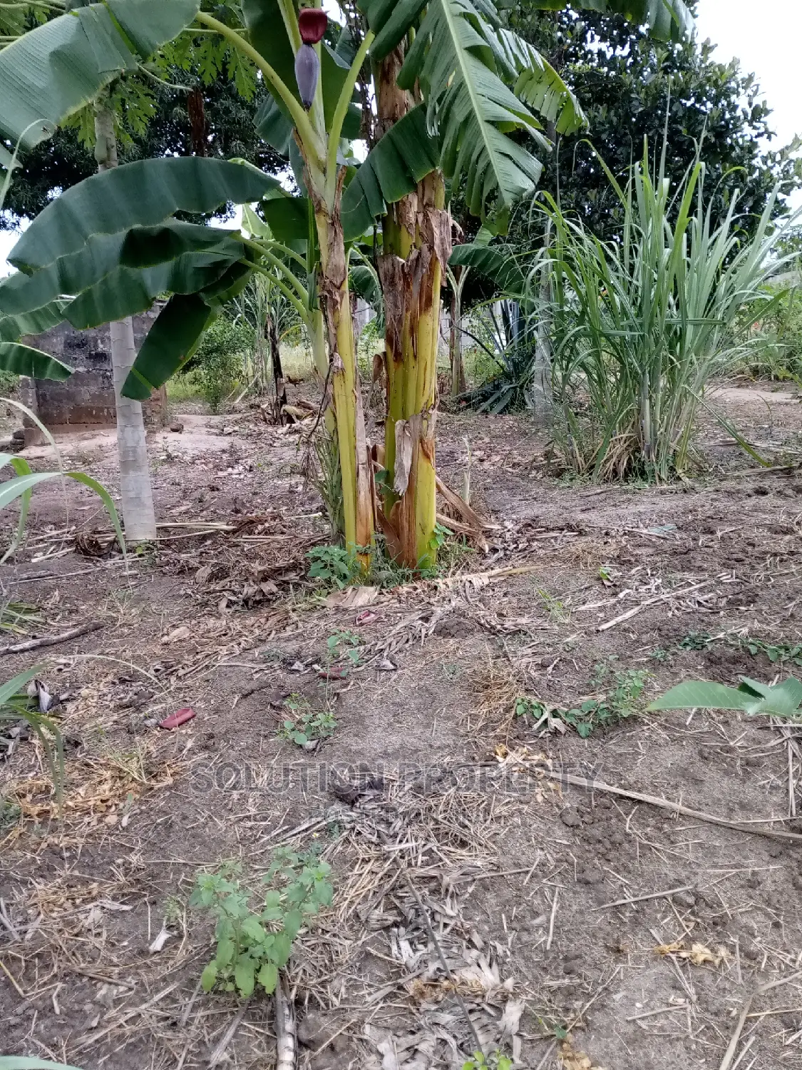 Plot for Sale at Kigamboni Fan City