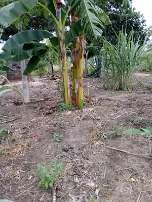 Plot for Sale at Kigamboni Fan City