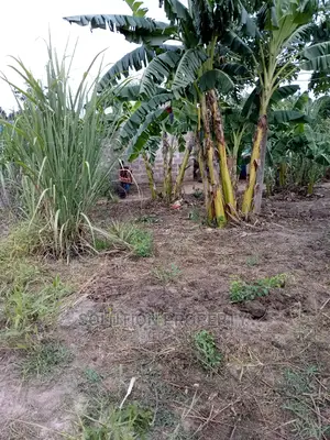 Plot for Sale at Kigamboni Fan City