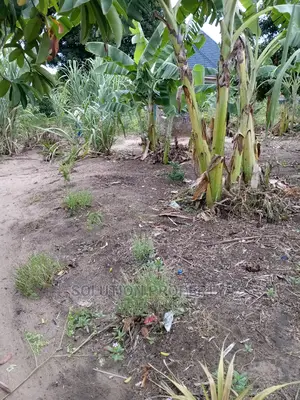 Plot for Sale at Kigamboni Fan City