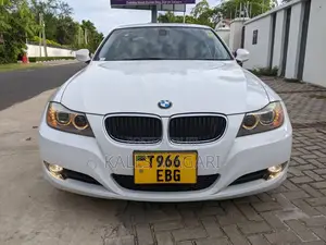 BMW 3 Series 2010 White