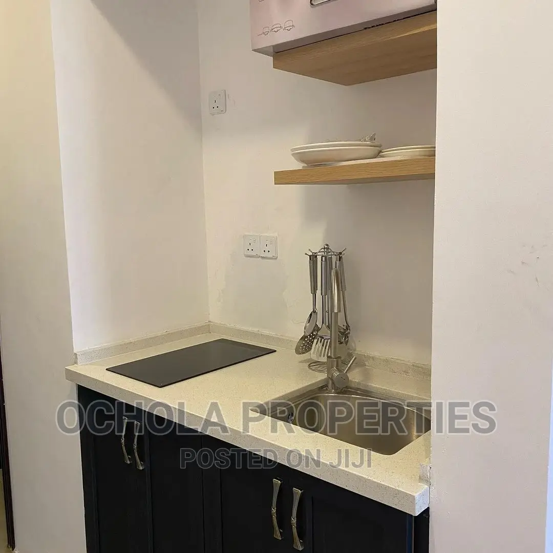 Furnished 1bdrm Apartment in Masaki for Rent